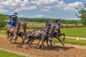 Is Legal Indian Horse Racing Betting India 2026 Legal in India? Complete 2026 Guide